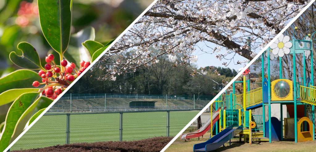 秋葉の森総合公園の外観